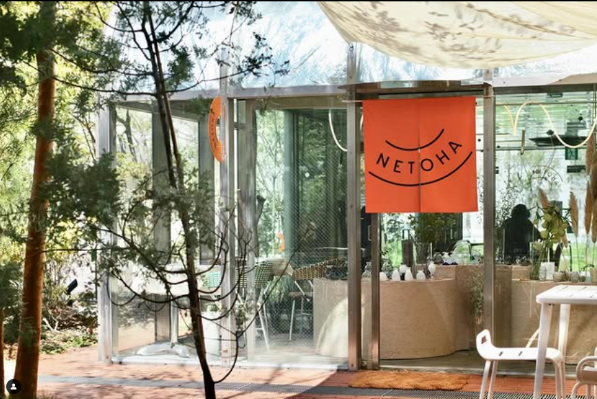 NETOHA