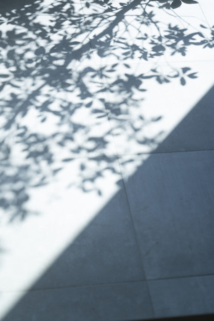 光と影を楽しむ、冬の午後